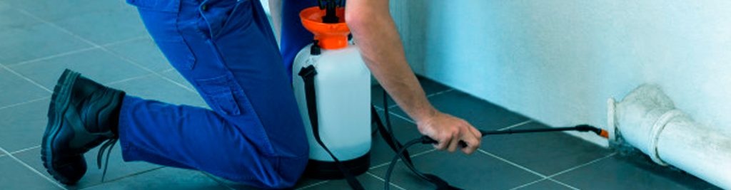 manejo integrado de pragas