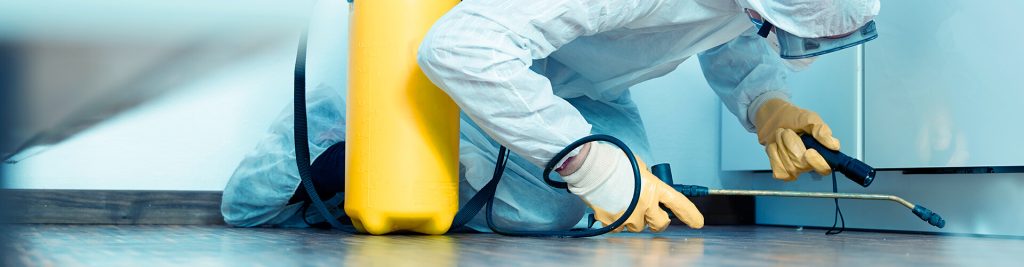 Manejo de pragas e vetores no inverno