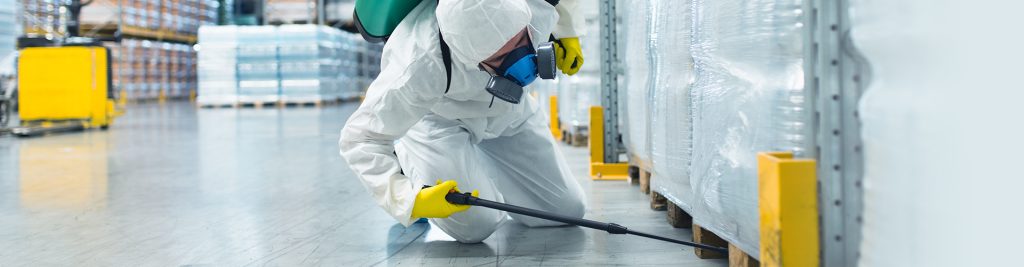 Manejo Integrado de Pragas Urbanas, quais as melhores práticas