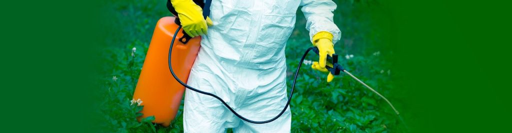 Pragas biológicas: como afetam o dia a dia