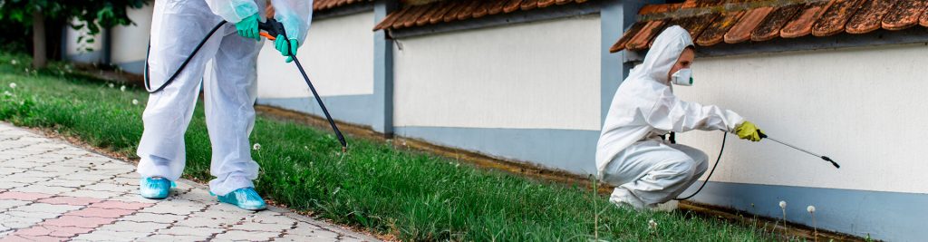 A sustentabilidade no manejo de pragas e vetores