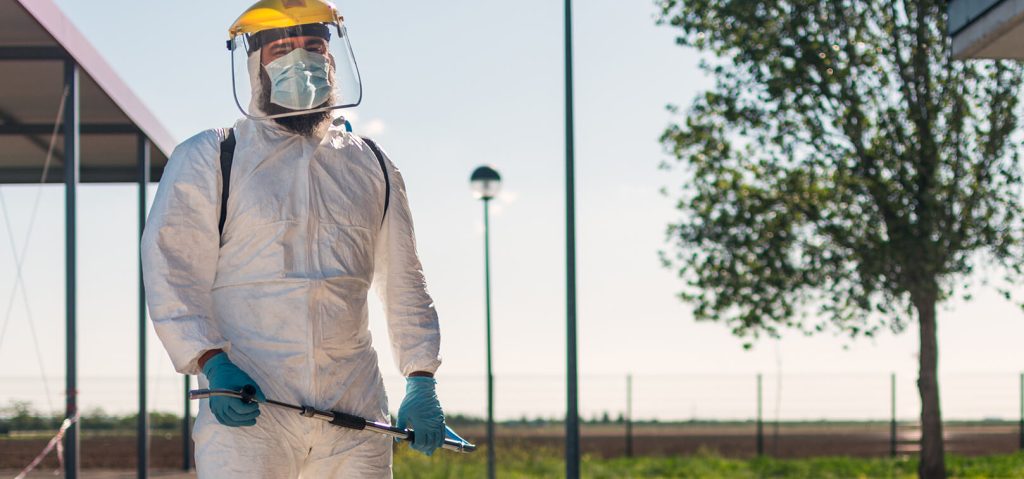 Época de chuvas: como evitar a proliferação de pragas e vetores