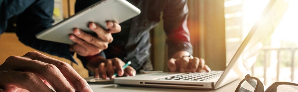 Empresa de controle de pragas: como se destacar no negócio