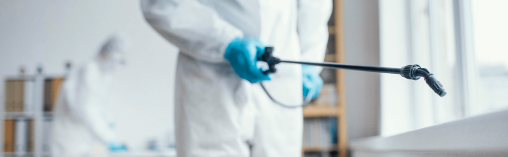 Dedetização x Controle de Pragas: qual é a diferença?