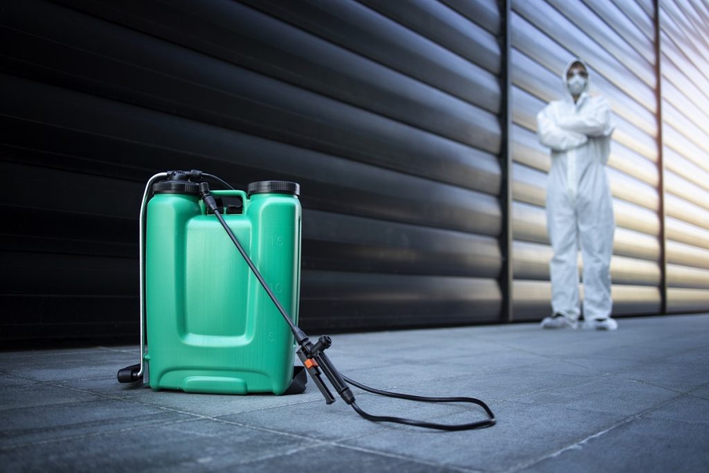 4 fatores que propiciam a proliferação de pragas urbanas