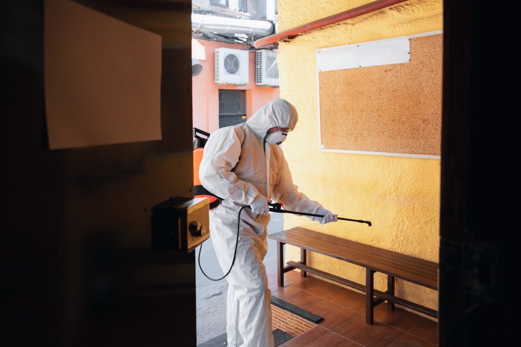 Controle de pragas: 5 fases do MIP e por que ele é eficiente